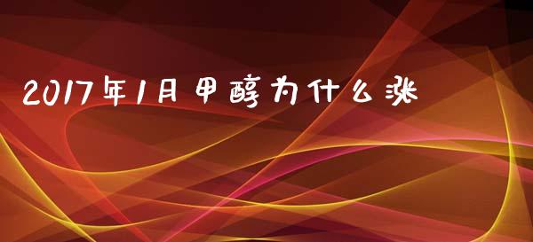 2017年1月甲醇为什么涨_https://wap.lcjysmgs.com_元宇宙_第1张
