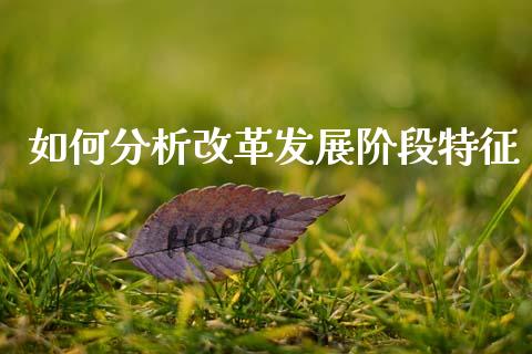 如何分析改革发展阶段特征_https://wap.lcjysmgs.com_债券基金_第1张