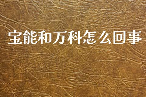宝能和万科怎么回事_https://wap.lcjysmgs.com_元宇宙_第1张