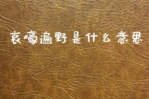 哀嚎遍野是什么意思_https://wap.lcjysmgs.com_原油期货_第1张
