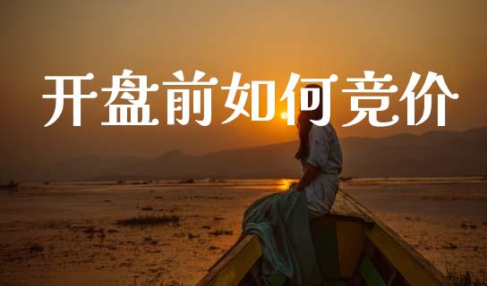 开盘前如何竞价_https://wap.lcjysmgs.com_债券基金_第1张