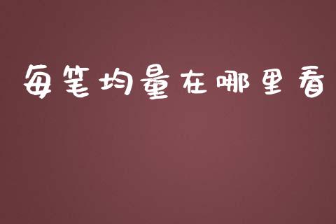 每笔均量在哪里看_https://wap.lcjysmgs.com_原油期货_第1张