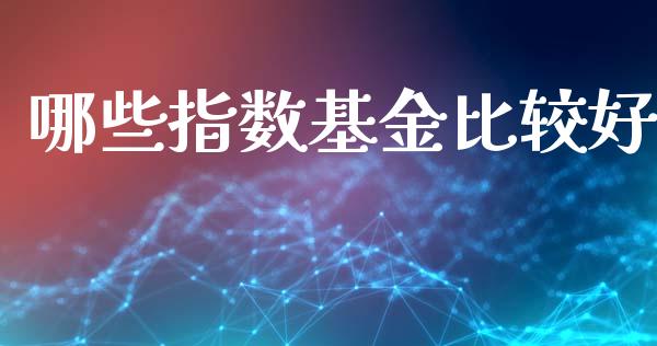 哪些指数基金比较好_https://wap.lcjysmgs.com_债券基金_第1张