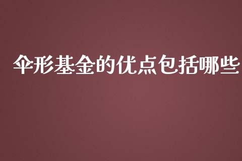 伞形基金的优点包括哪些_https://wap.lcjysmgs.com_债券基金_第1张