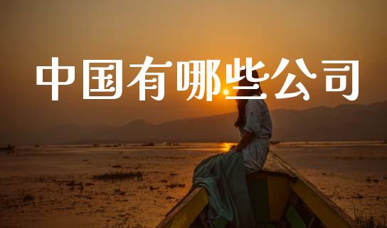 中国有哪些公司_https://wap.lcjysmgs.com_原油期货_第1张