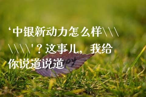 ‘中银新动力怎么样\\\