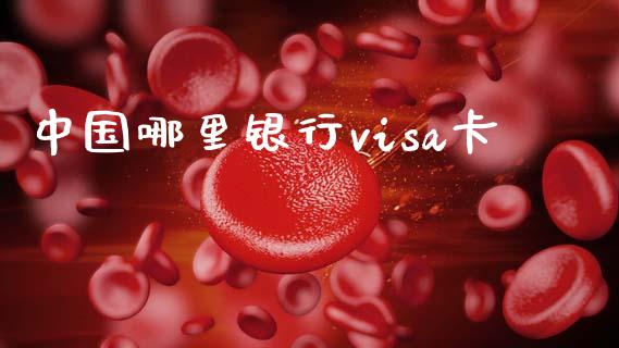 中国哪里银行visa卡_https://wap.lcjysmgs.com_元宇宙_第1张