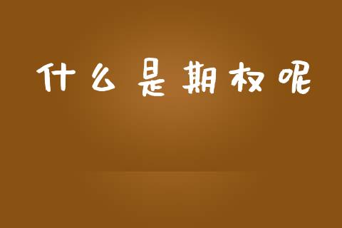 什么是期权呢_https://wap.lcjysmgs.com_原油期货_第1张