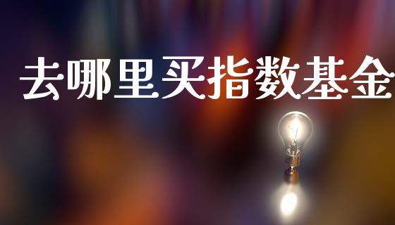 去哪里买指数基金_https://wap.lcjysmgs.com_金融交易_第1张