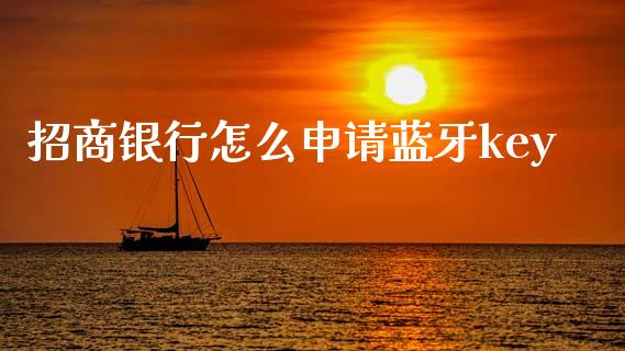 招商银行怎么申请蓝牙key_https://wap.lcjysmgs.com_原油期货_第1张