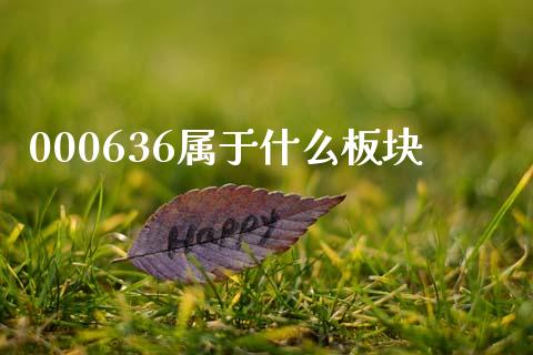 000636属于什么板块_https://wap.lcjysmgs.com_债券基金_第1张