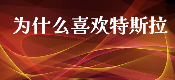 为什么喜欢特斯拉_https://wap.lcjysmgs.com_原油期货_第1张