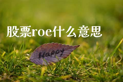 股票roe什么意思_https://wap.lcjysmgs.com_元宇宙_第1张