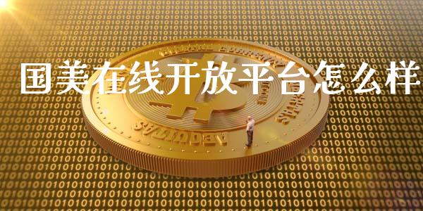国美在线开放平台怎么样_https://wap.lcjysmgs.com_原油期货_第1张