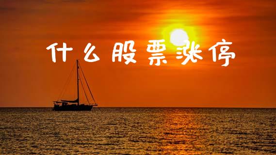 什么股票涨停_https://wap.lcjysmgs.com_金融交易_第1张