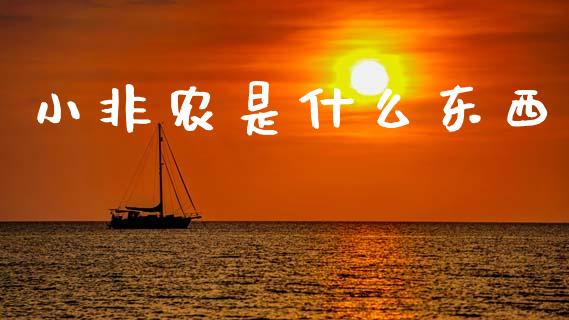 小非农是什么东西_https://wap.lcjysmgs.com_金融交易_第1张