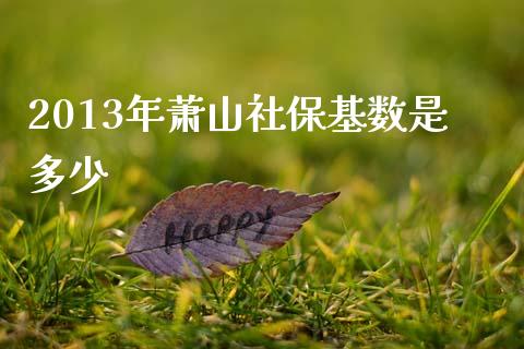 2013年萧山社保基数是多少_https://wap.lcjysmgs.com_债券基金_第1张