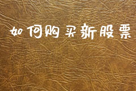 如何购买新股票_https://wap.lcjysmgs.com_债券基金_第1张