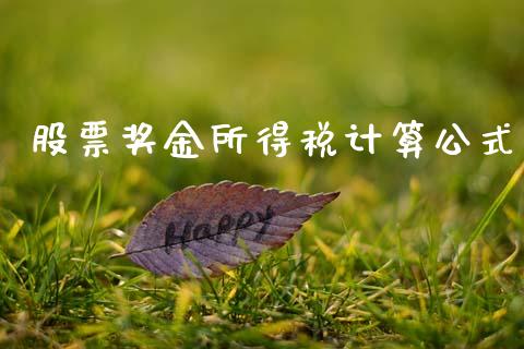 股票奖金所得税计算公式_https://wap.lcjysmgs.com_原油期货_第1张