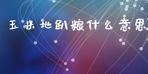 玉米地趴粮什么意思_债券基金_第1张_金融交易_元宇宙_原油期货_债券基金 玉米地趴粮什么意思_https://wap.lcjysmgs.com_债券基金_第1张