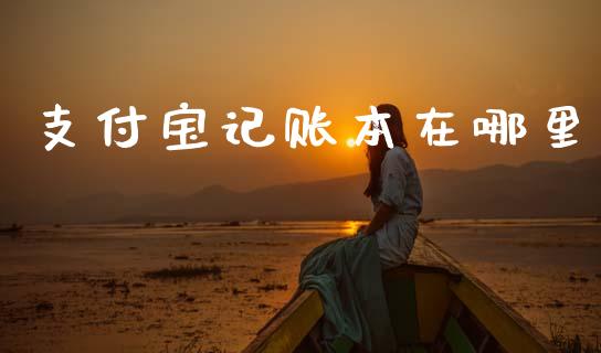 支付宝记账本在哪里_https://wap.lcjysmgs.com_原油期货_第1张