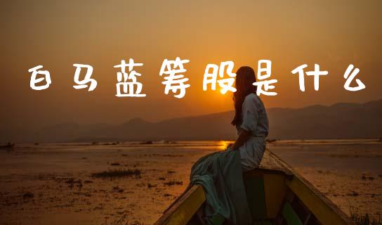 白马蓝筹股是什么_https://wap.lcjysmgs.com_金融交易_第1张