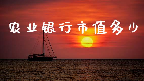 农业银行市值多少_https://wap.lcjysmgs.com_原油期货_第1张