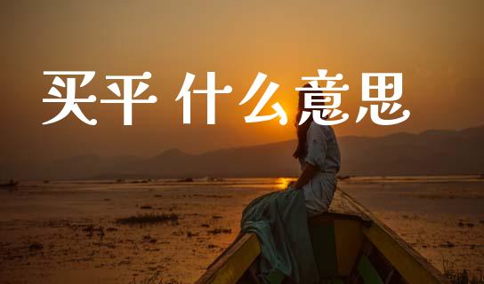 买平 什么意思_https://wap.lcjysmgs.com_债券基金_第1张