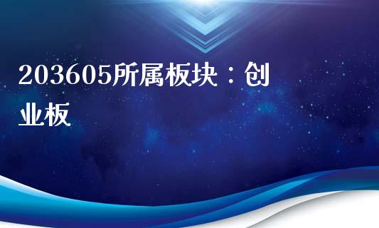 203605所属板块：创业板_https://wap.lcjysmgs.com_元宇宙_第1张