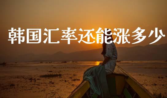 韩国汇率还能涨多少_https://wap.lcjysmgs.com_金融交易_第1张