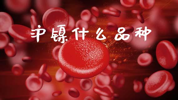 沪镍什么品种_https://wap.lcjysmgs.com_原油期货_第1张
