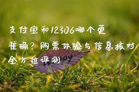 支付宝和12306哪个更准确？购票体验与信息核对全方位评测_https://wap.lcjysmgs.com_元宇宙_第1张