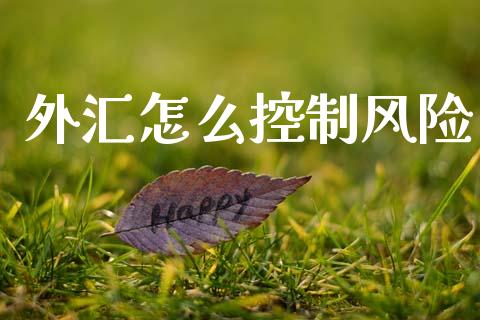 外汇怎么控制风险_https://wap.lcjysmgs.com_金融交易_第1张