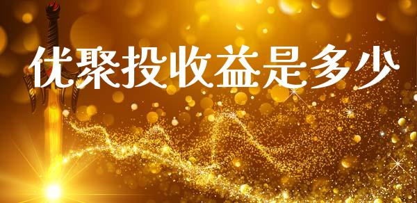 优聚投收益是多少_https://wap.lcjysmgs.com_原油期货_第1张
