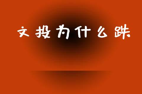 文投为什么跌_https://wap.lcjysmgs.com_债券基金_第1张