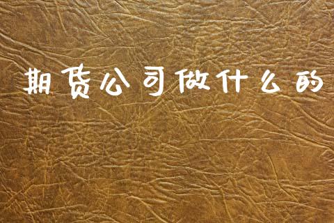 期货公司做什么的_https://wap.lcjysmgs.com_原油期货_第1张