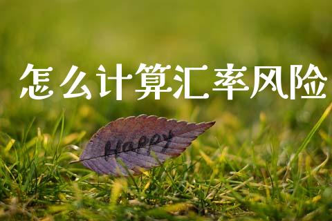 怎么计算汇率风险_https://wap.lcjysmgs.com_元宇宙_第1张