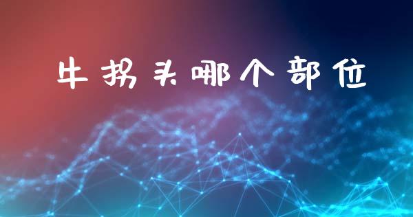 牛拐头哪个部位_https://wap.lcjysmgs.com_金融交易_第1张