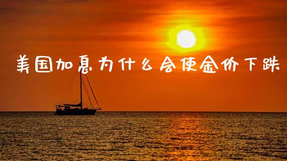 美国加息为什么会使金价下跌_https://wap.lcjysmgs.com_债券基金_第1张