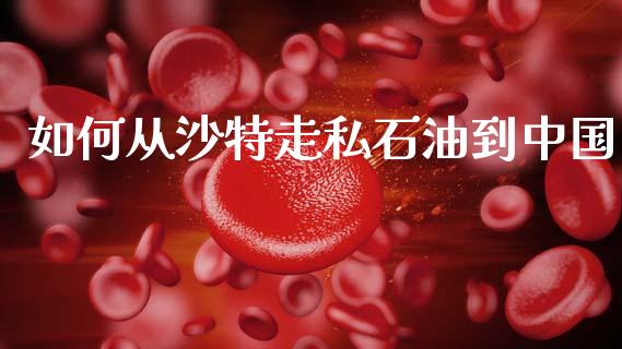 如何从沙特走私石油到中国_https://wap.lcjysmgs.com_金融交易_第1张