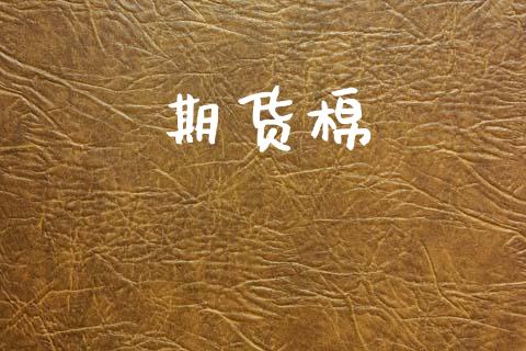 期货棉_https://wap.lcjysmgs.com_元宇宙_第1张