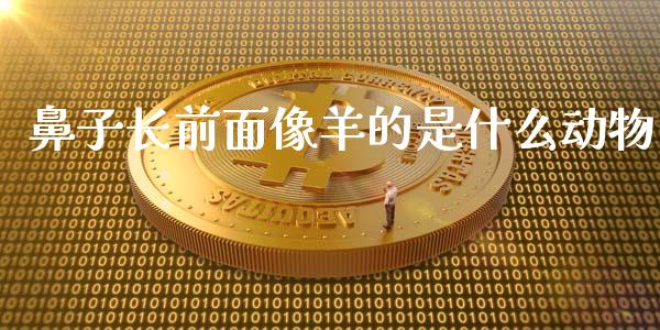 鼻子长前面像羊的是什么动物_https://wap.lcjysmgs.com_金融交易_第1张