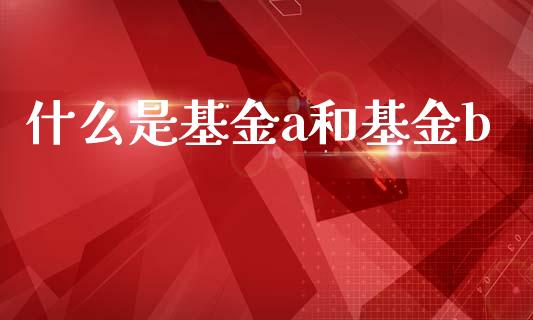 什么是基金a和基金b_https://wap.lcjysmgs.com_原油期货_第1张