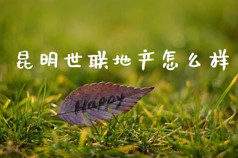 昆明世联地产怎么样_https://wap.lcjysmgs.com_金融交易_第1张