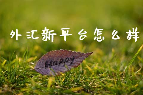 外汇新平台怎么样_https://wap.lcjysmgs.com_金融交易_第1张