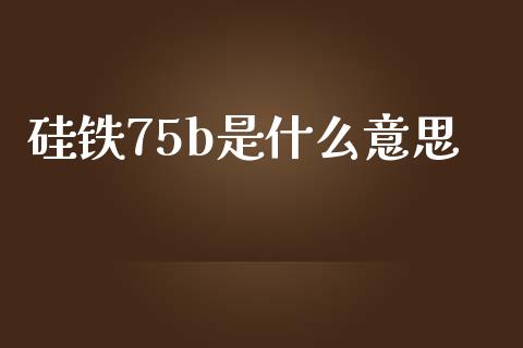 硅铁75b是什么意思_原油期货_第1张_金融交易_元宇宙_原油期货_债券基金 硅铁75b是什么意思_https://wap.lcjysmgs.com_原油期货_第1张