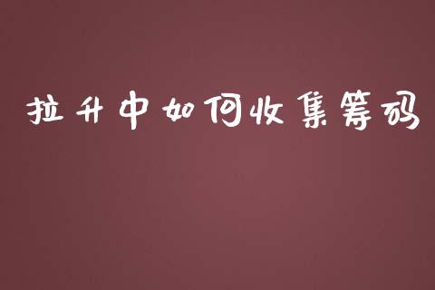 拉升中如何收集筹码_https://wap.lcjysmgs.com_债券基金_第1张