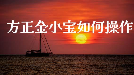 方正金小宝如何操作_https://wap.lcjysmgs.com_元宇宙_第1张