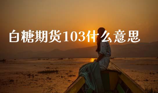 白糖期货103什么意思_金融交易_第1张_金融交易_元宇宙_原油期货_债券基金 白糖期货103什么意思_https://wap.lcjysmgs.com_金融交易_第1张