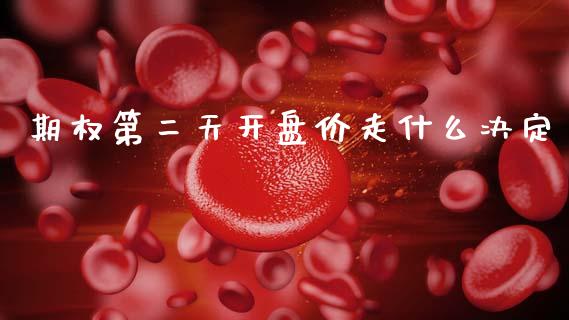 期权第二天开盘价走什么决定_https://wap.lcjysmgs.com_债券基金_第1张